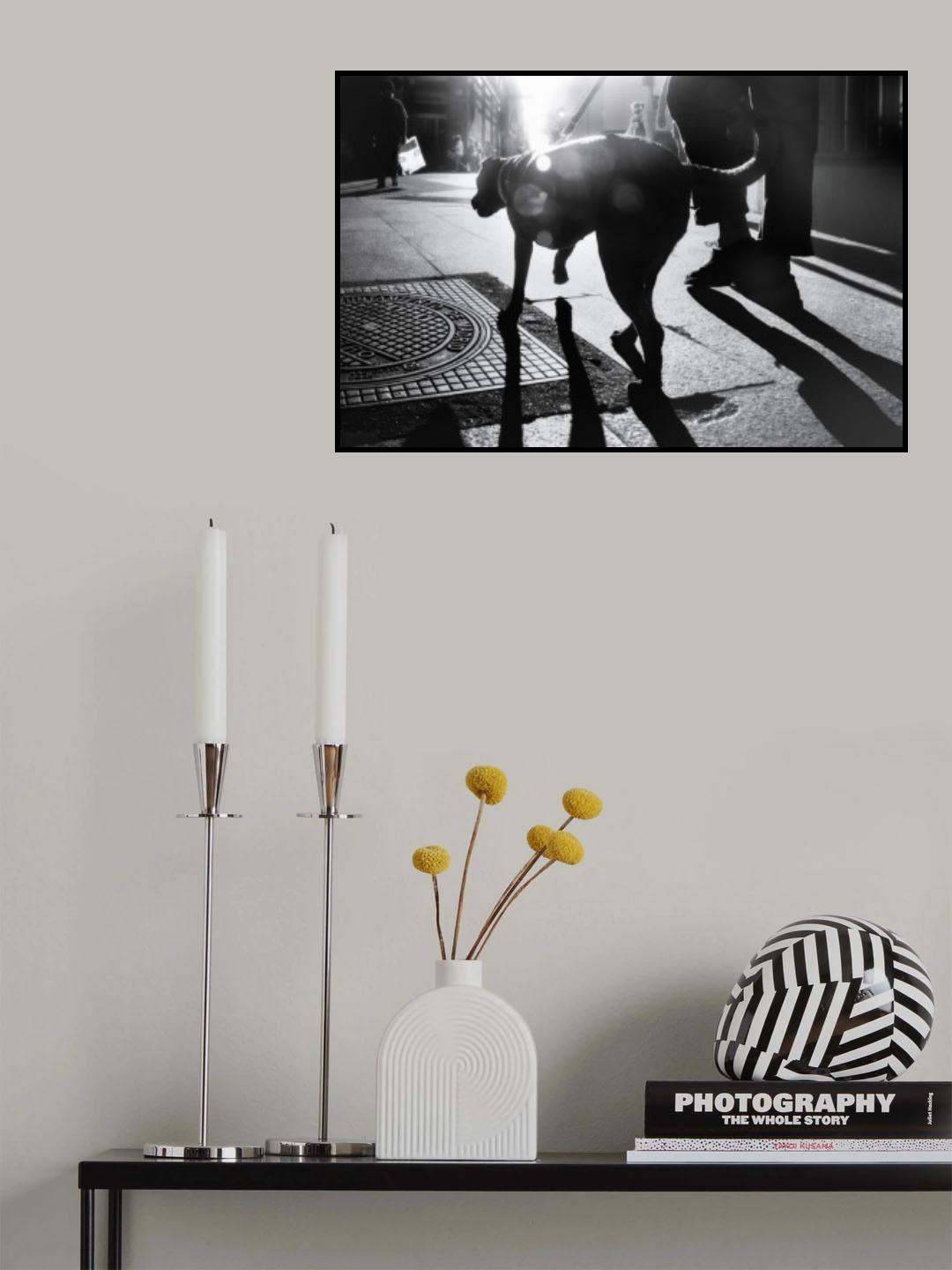 The dog saw that light Poster och Canvastavla