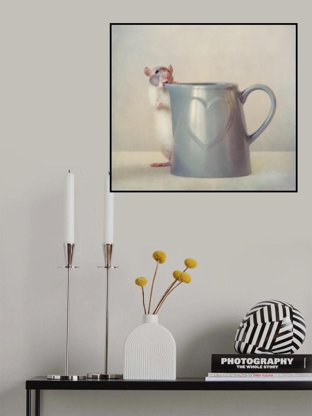 Snoozy Poster och Canvastavla