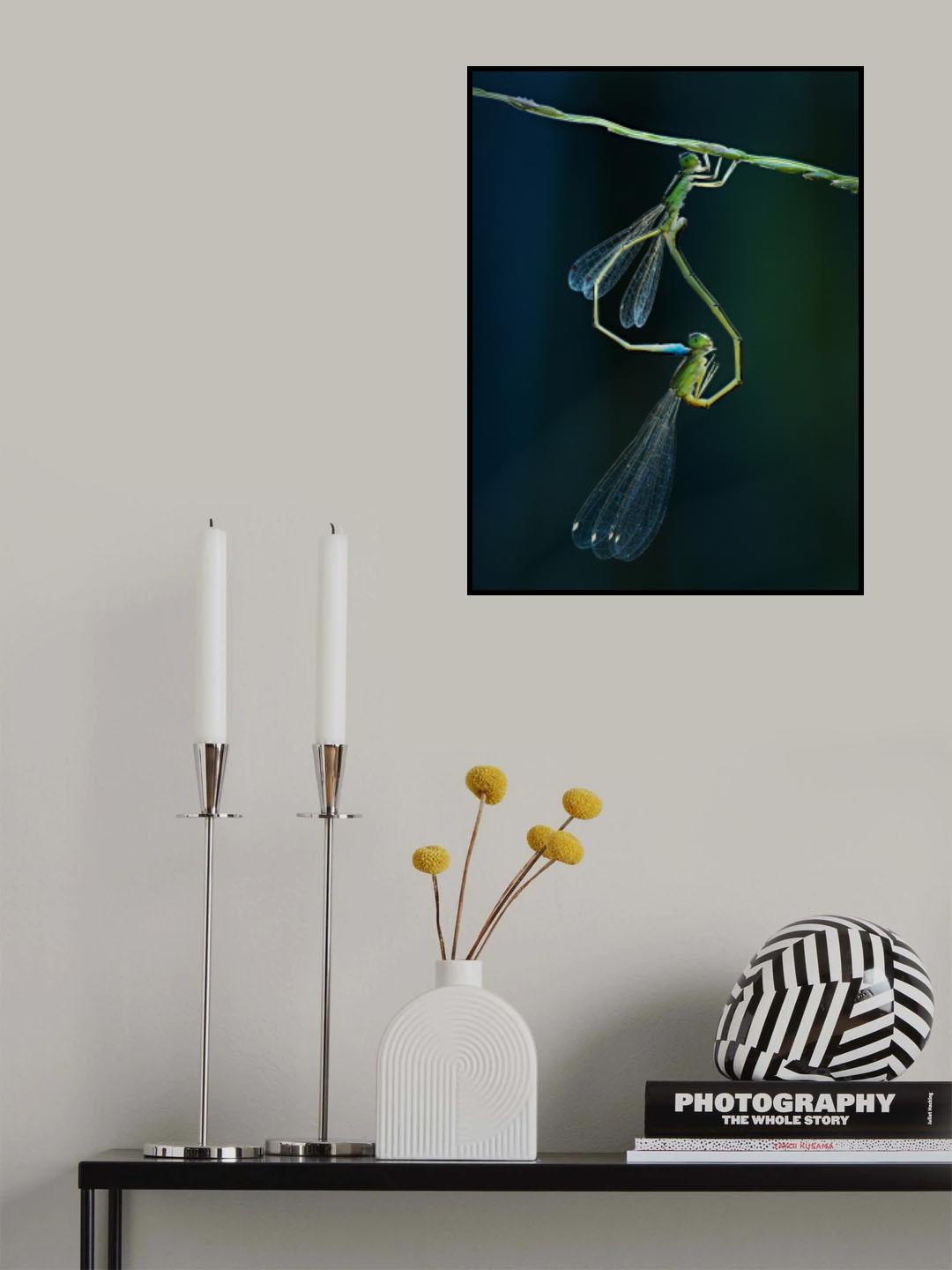 clear wings Poster och Canvastavla