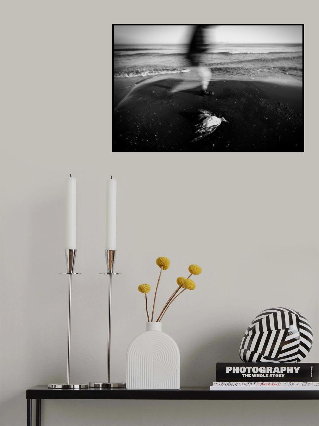 fly Poster och Canvastavla