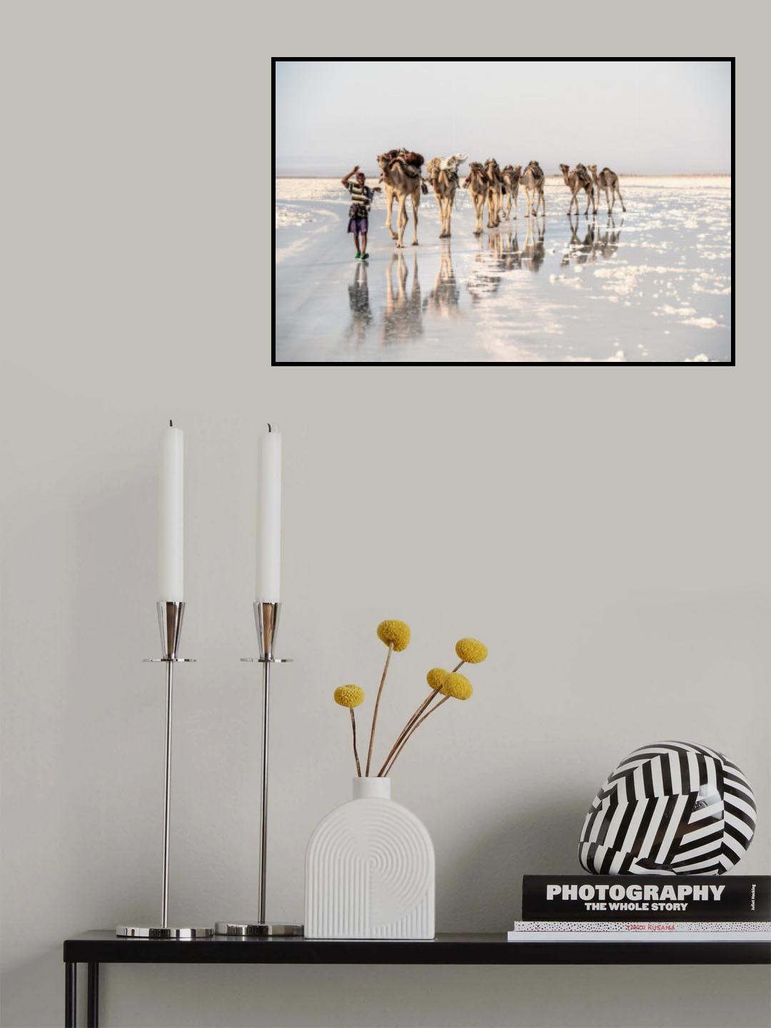The salt of Ethiopia Poster och Canvastavla