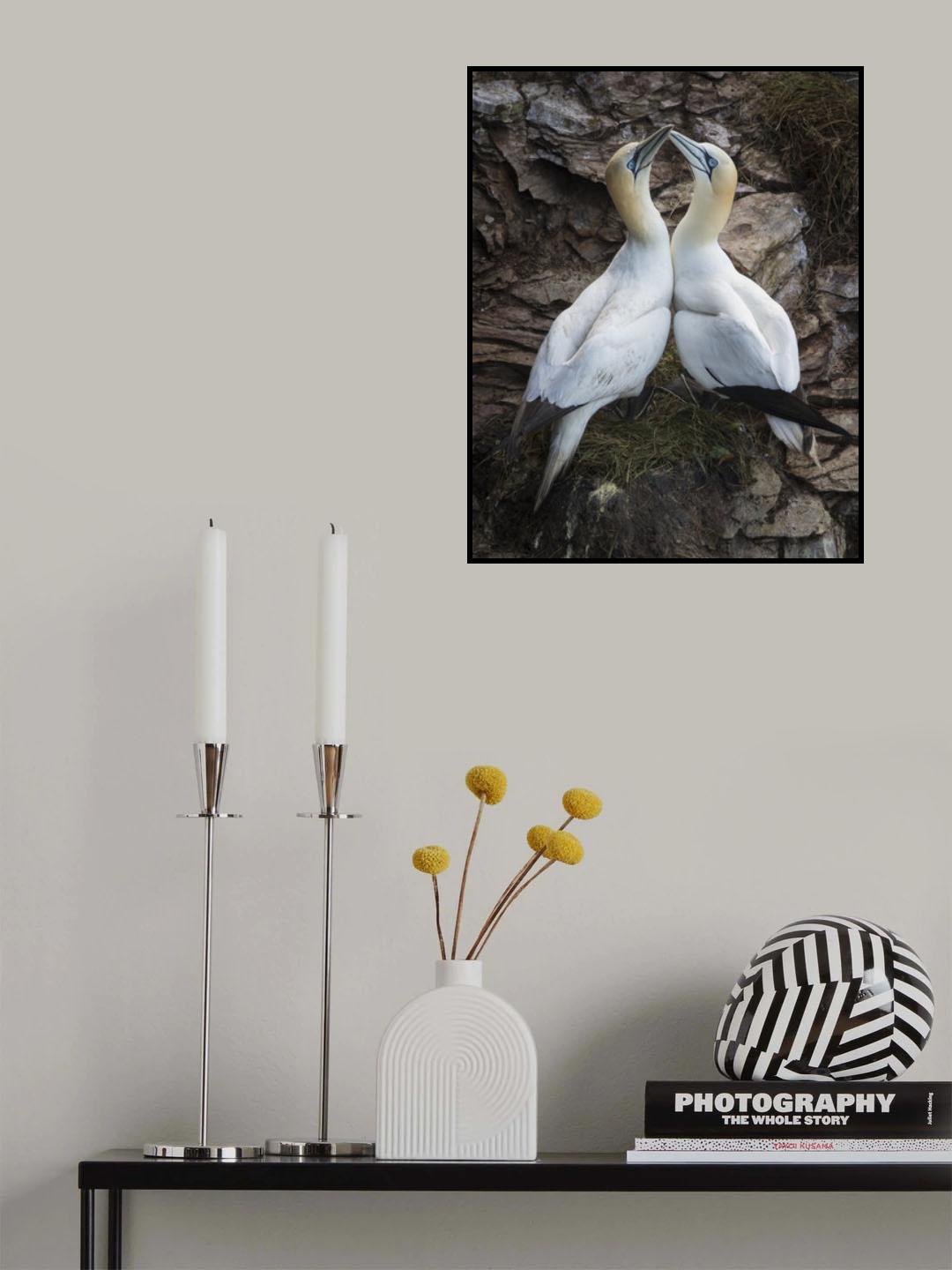 Afterplay Poster och Canvastavla