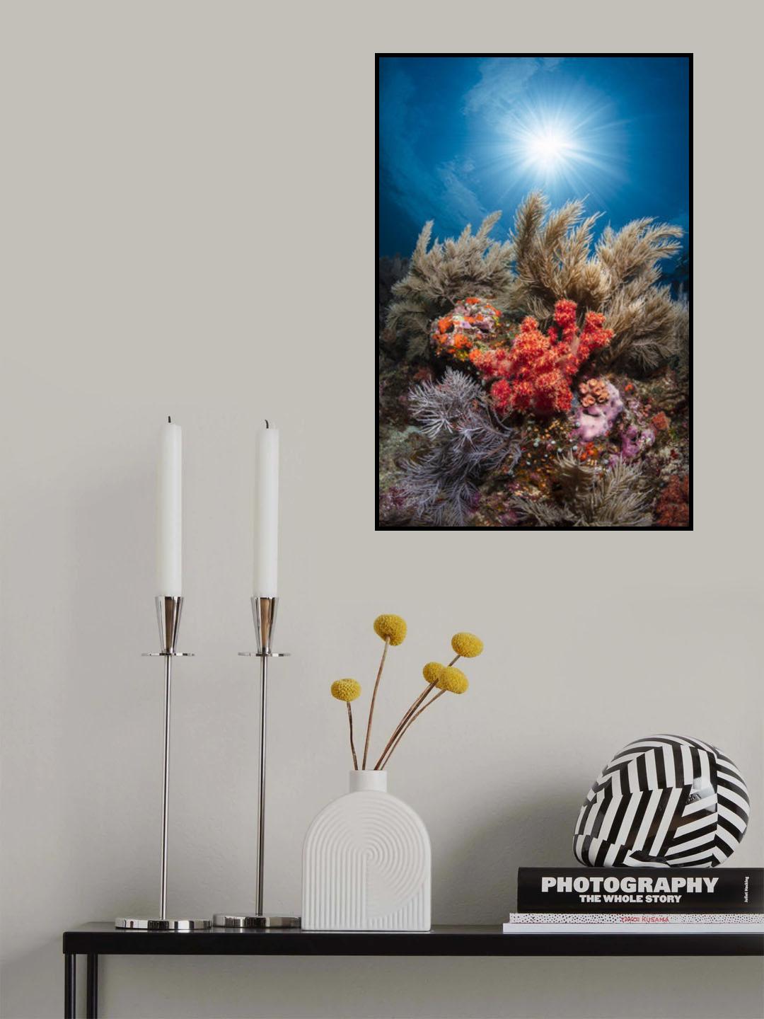 Underwater life Poster och Canvastavla