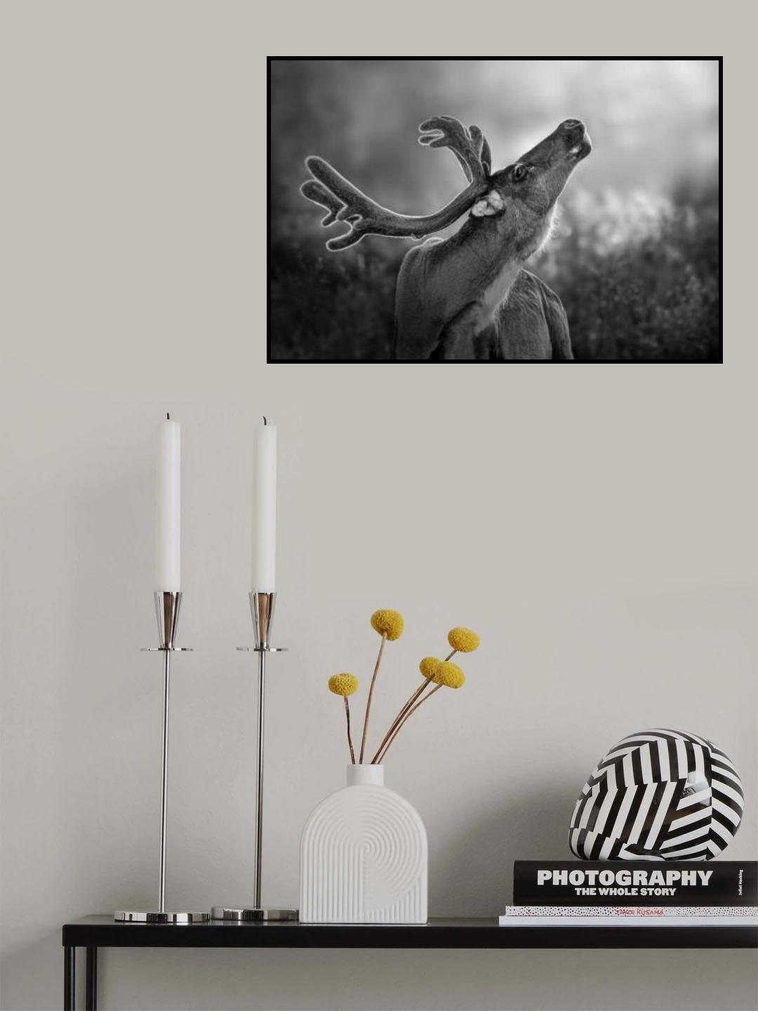 Deer Backlit Poster och Canvastavla