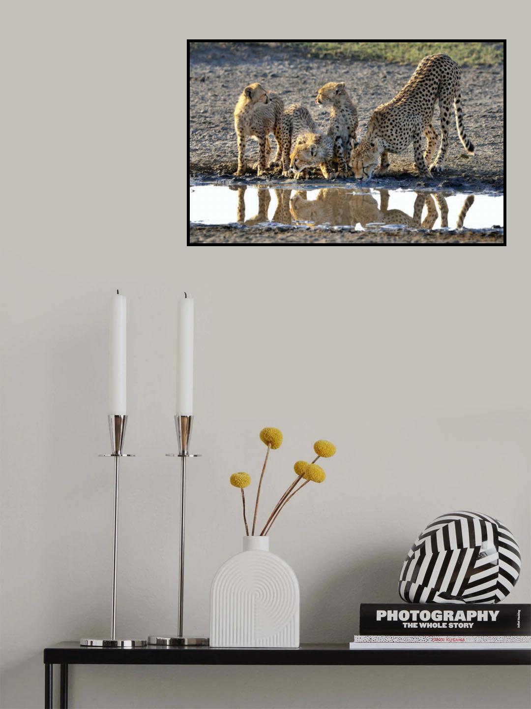 Drinking Poster och Canvastavla