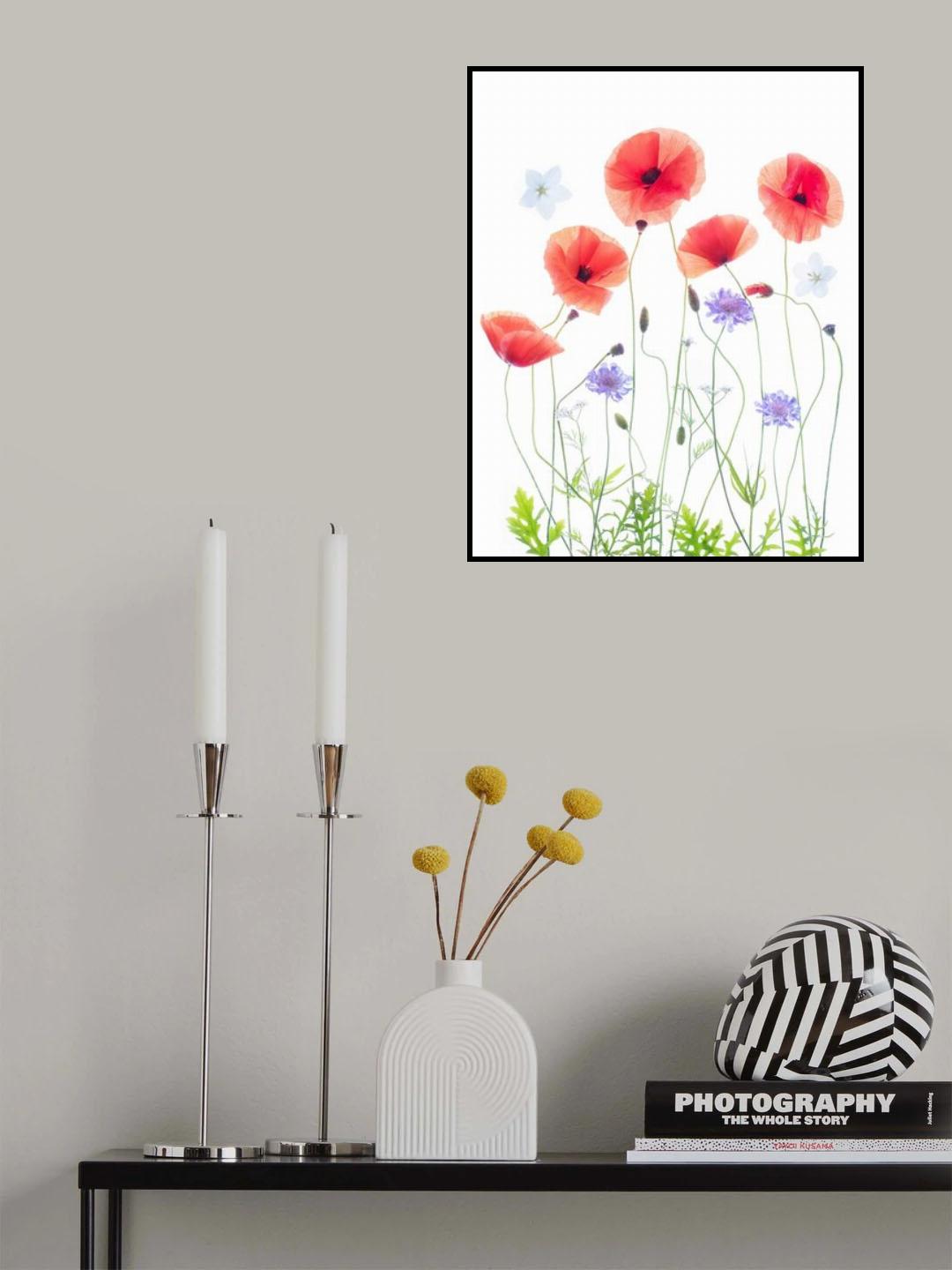 Poppy Garden Poster och Canvastavla