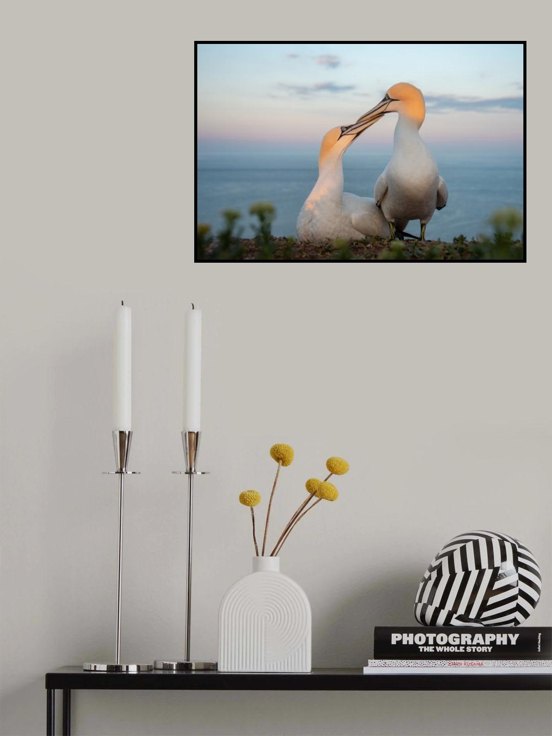 Greeting ritual. Poster och Canvastavla