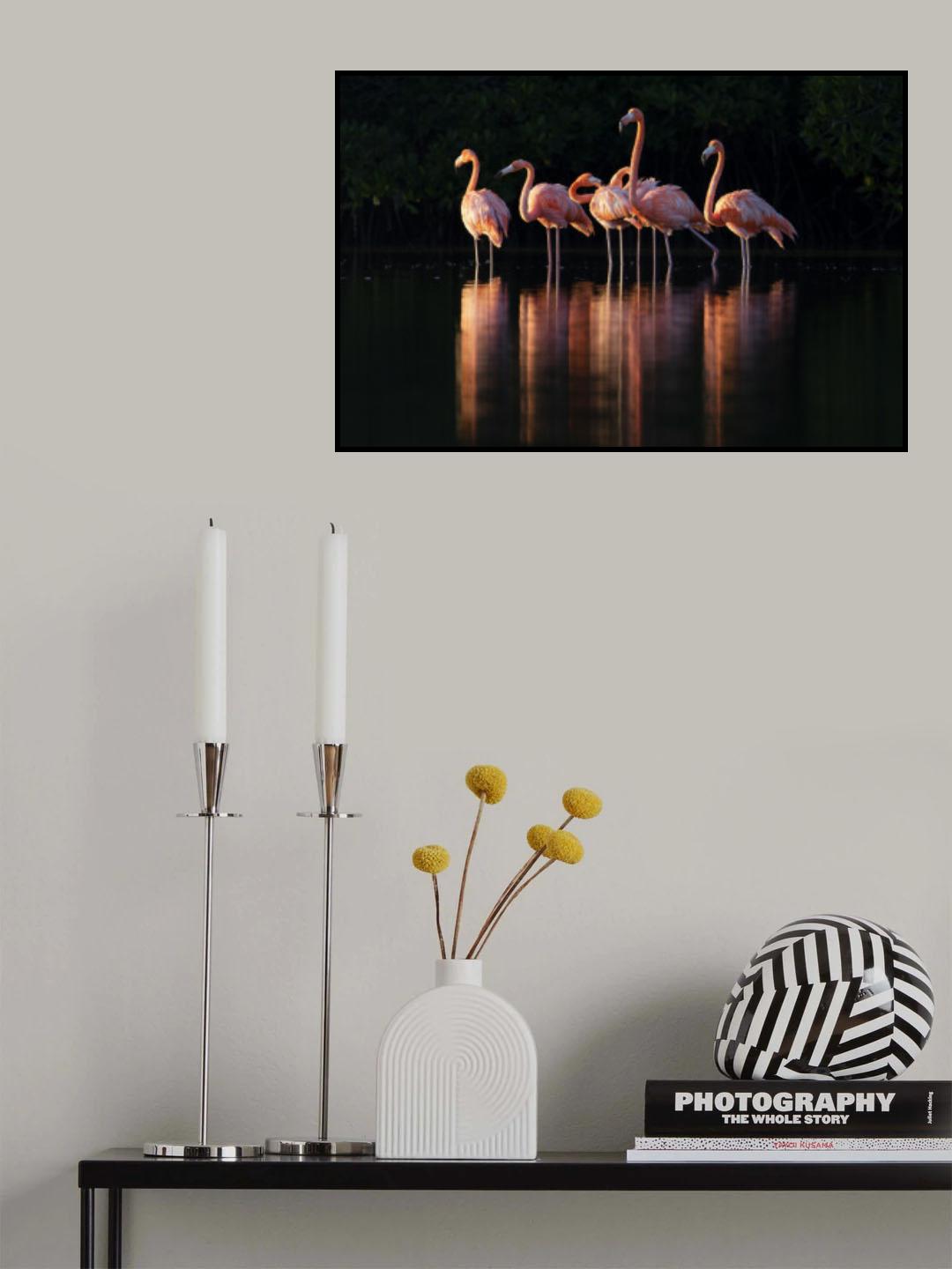 Pink Dawn Poster och Canvastavla