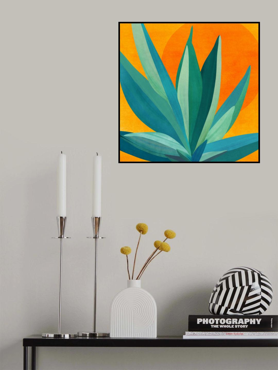 West Coast Sunset Poster och Canvastavla