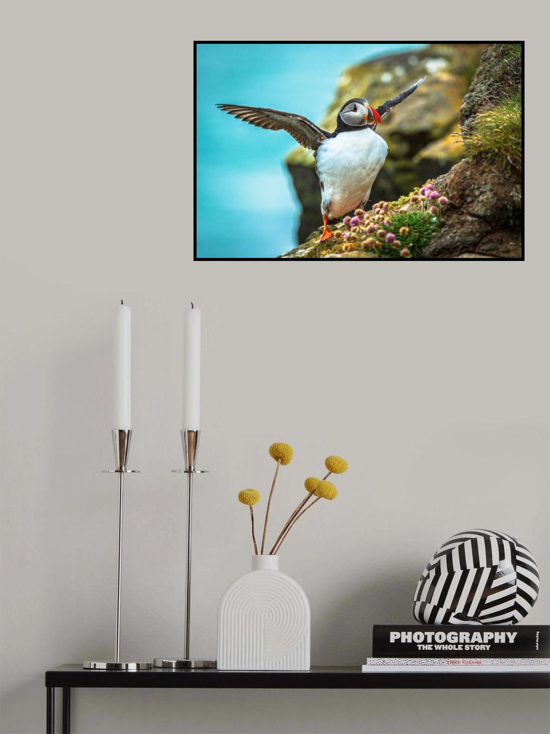 Magical puffins Poster och Canvastavla