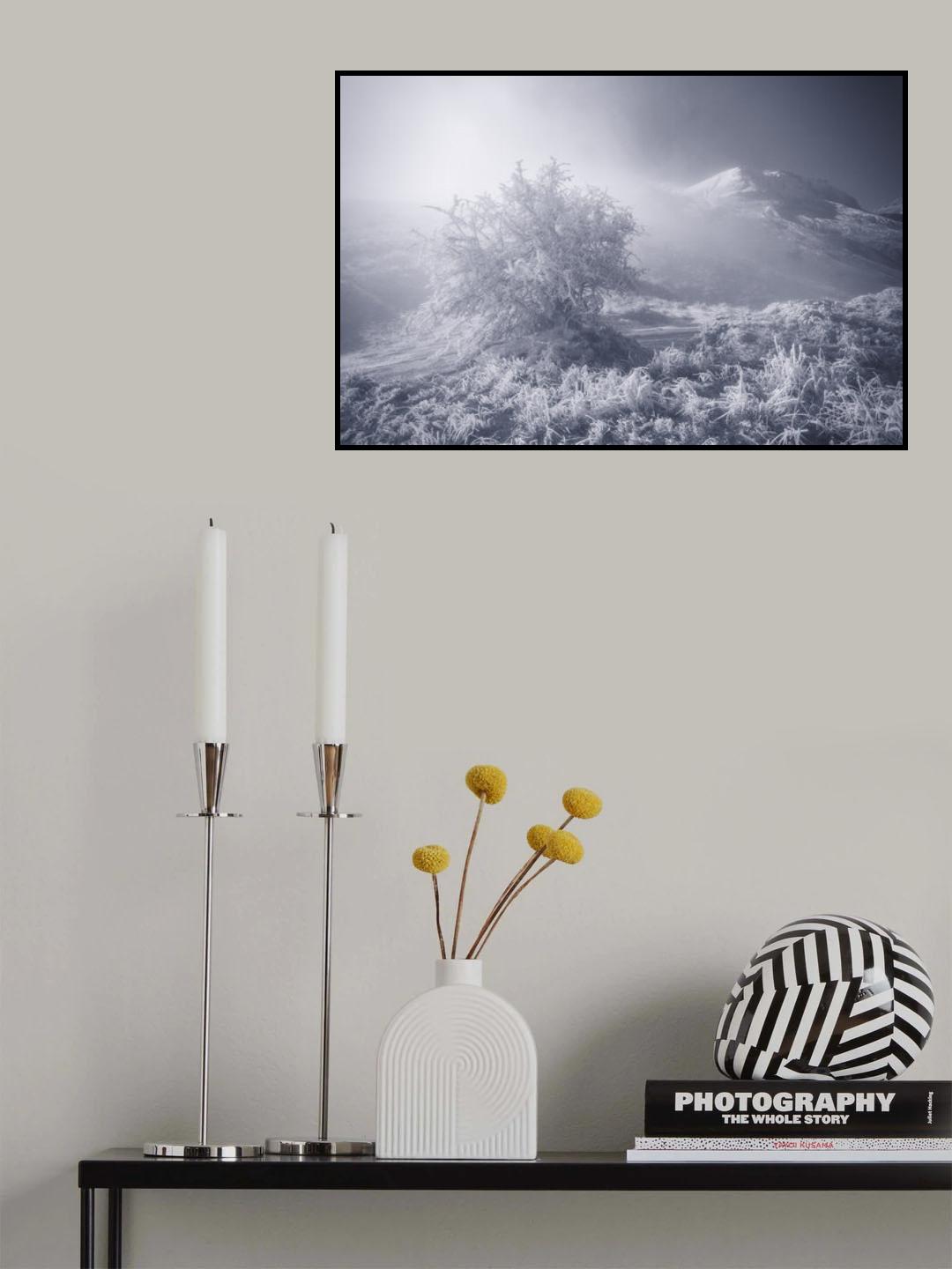The lonely tree Poster och Canvastavla