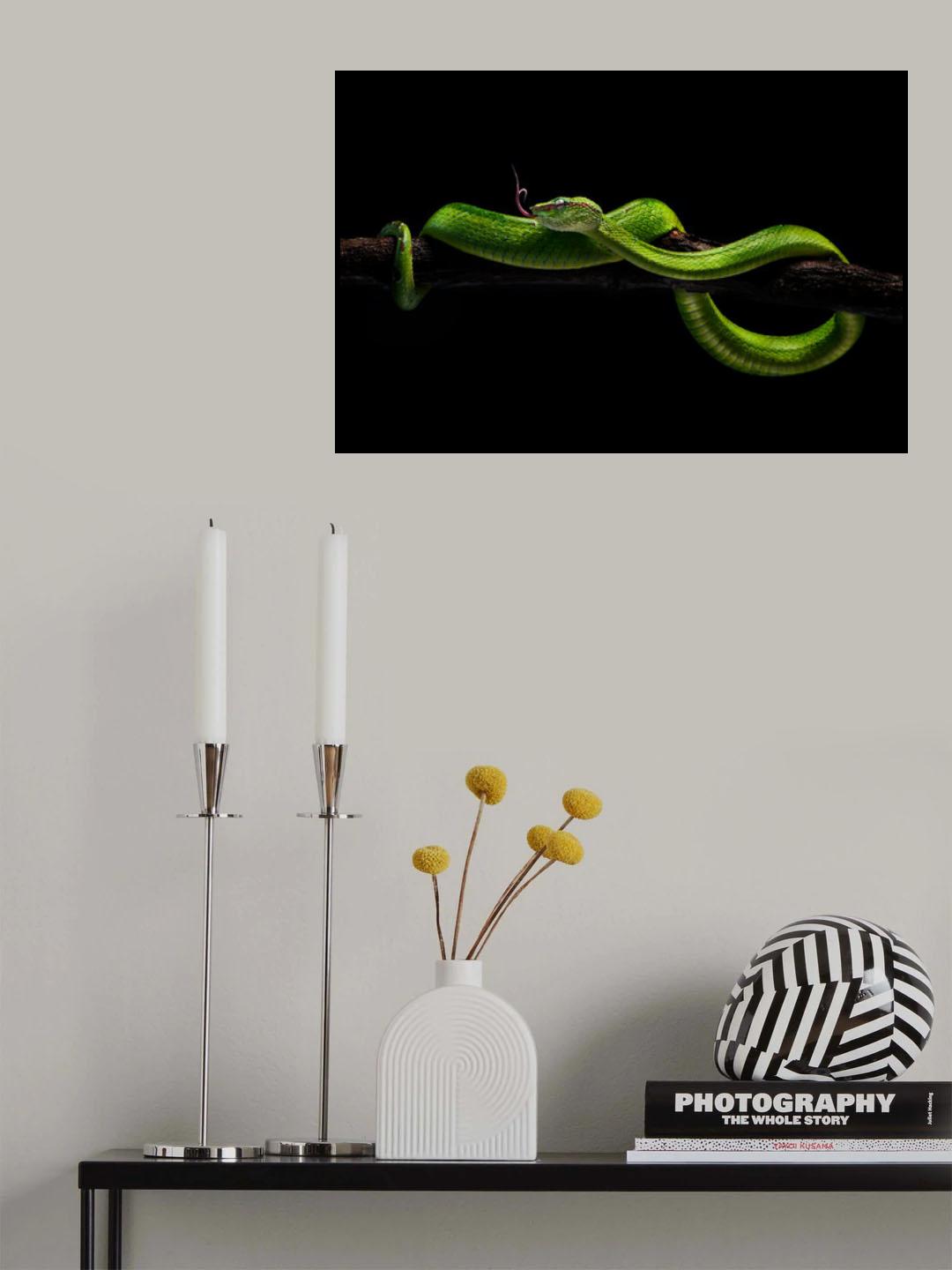 viper one Poster och Canvastavla