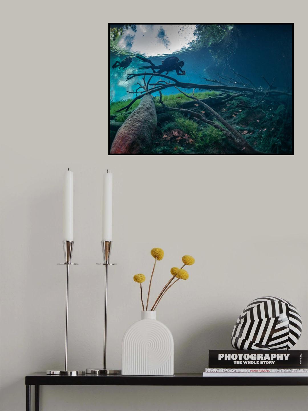 Over the jungle Poster och Canvastavla