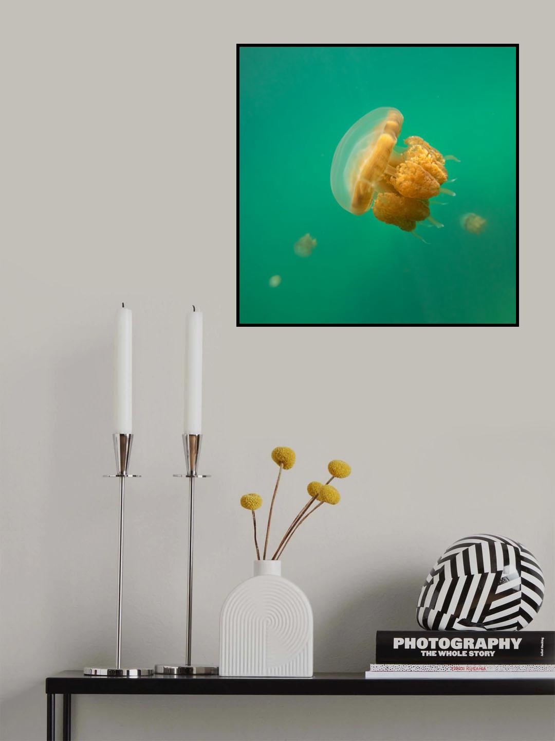 Jellyfish Poster och Canvastavla