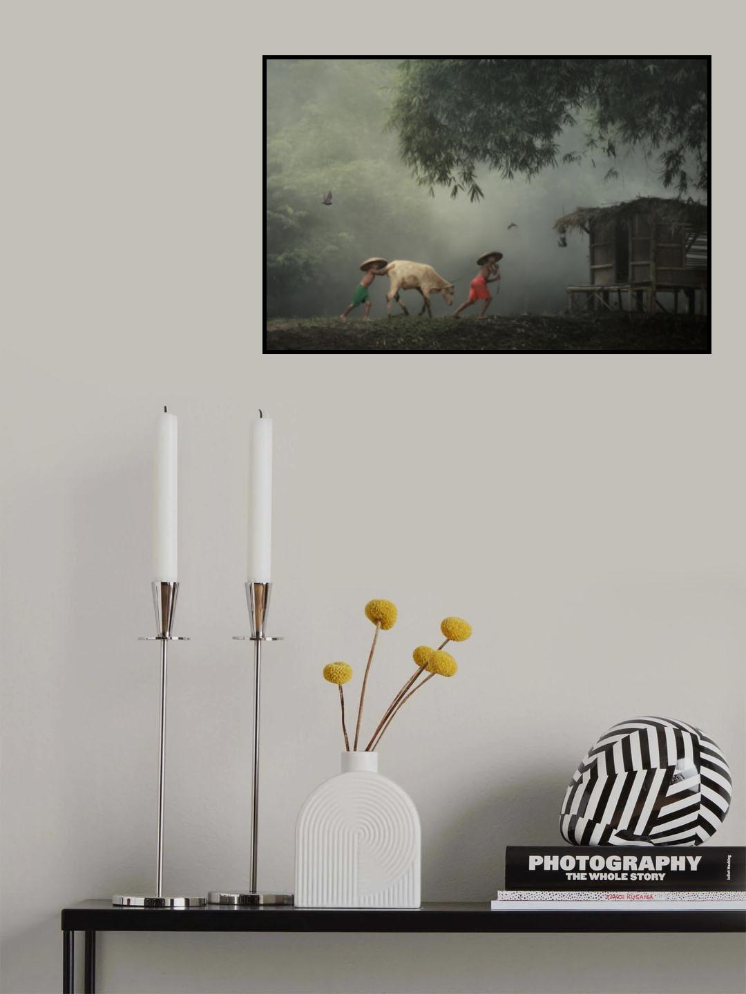 Herding Cow Poster och Canvastavla