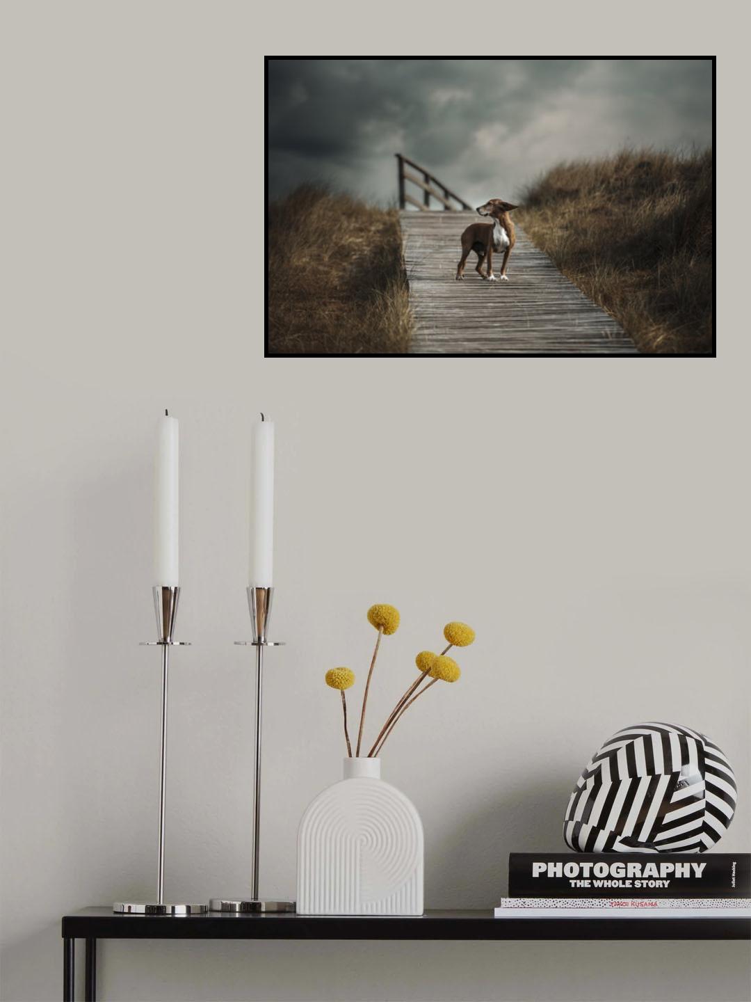 The summer wind came blowin' in from across the Sea…. (Frank Sinatra) Poster och Canvastavla