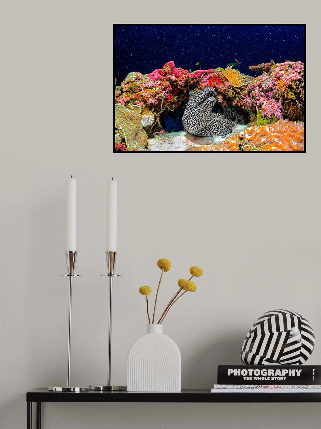 Under the Star Poster och Canvastavla