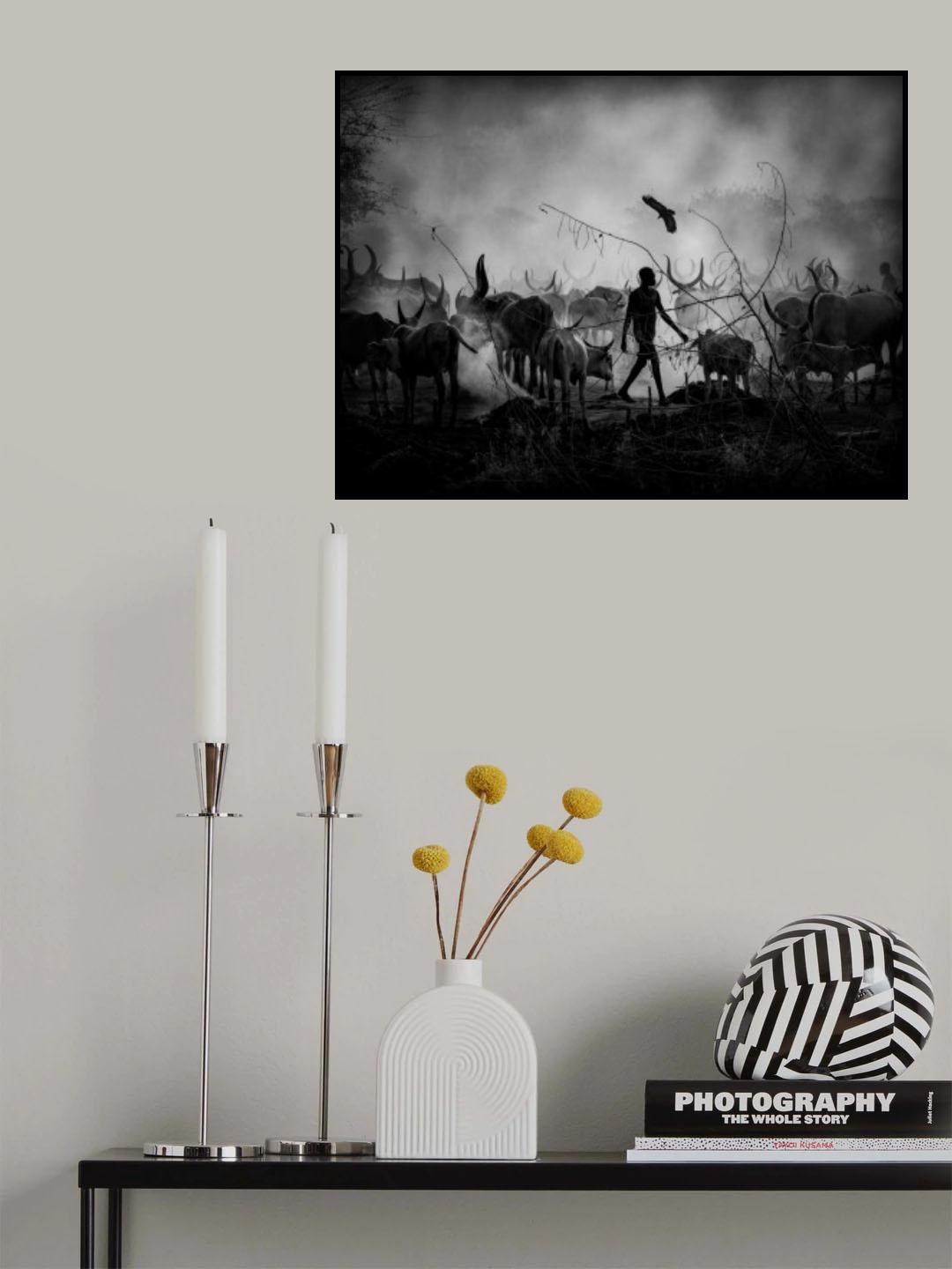 Mundari's cows shadows, SOUTH SUDAN 2021 Poster och Canvastavla