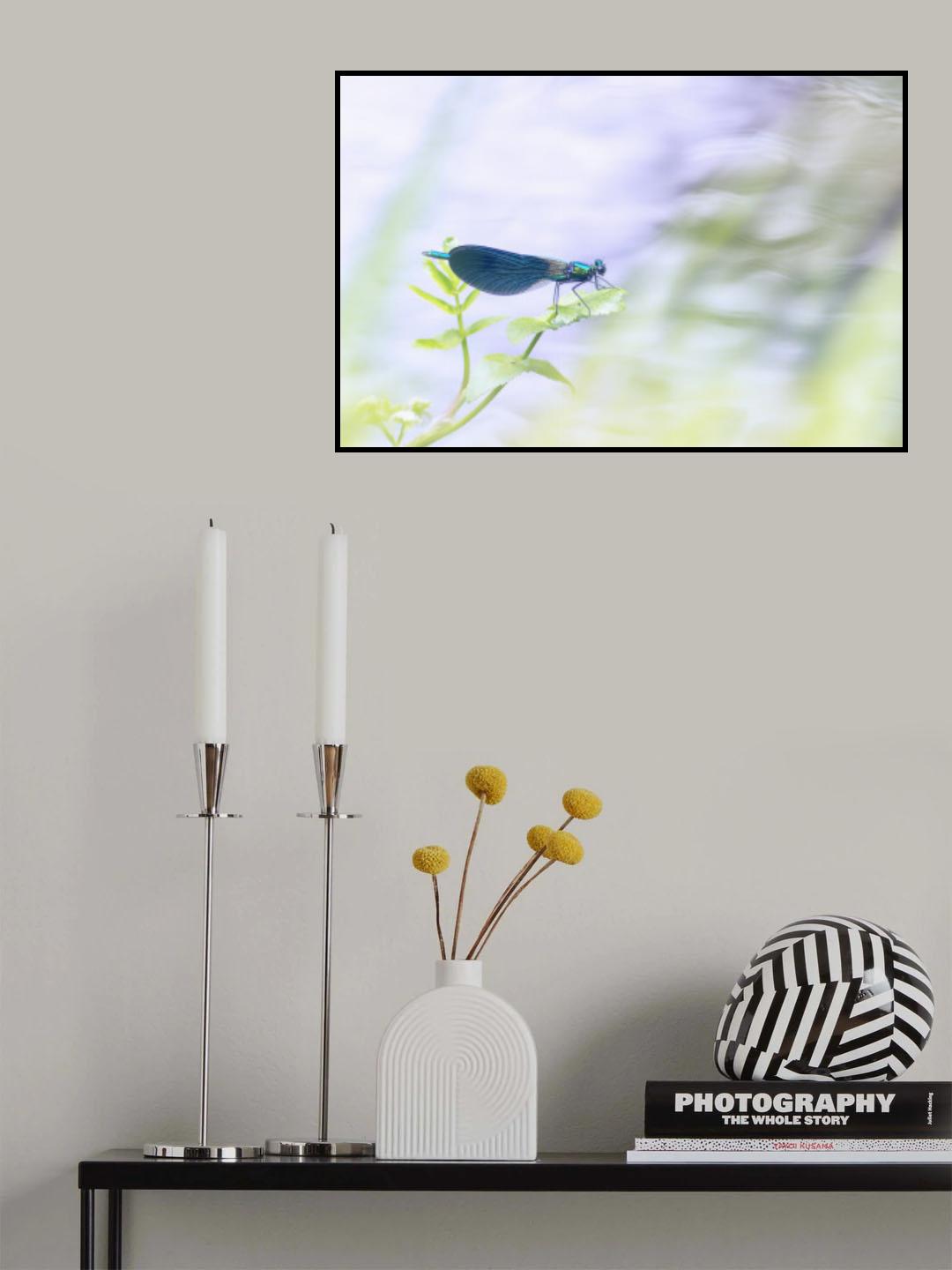 surf a leaf Poster och Canvastavla