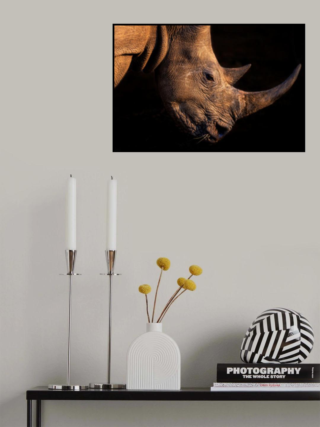 Rhinoceros Poster och Canvastavla