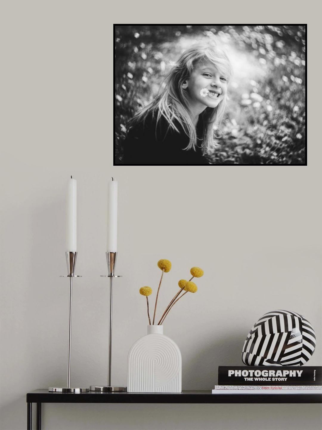 daisies Poster och Canvastavla