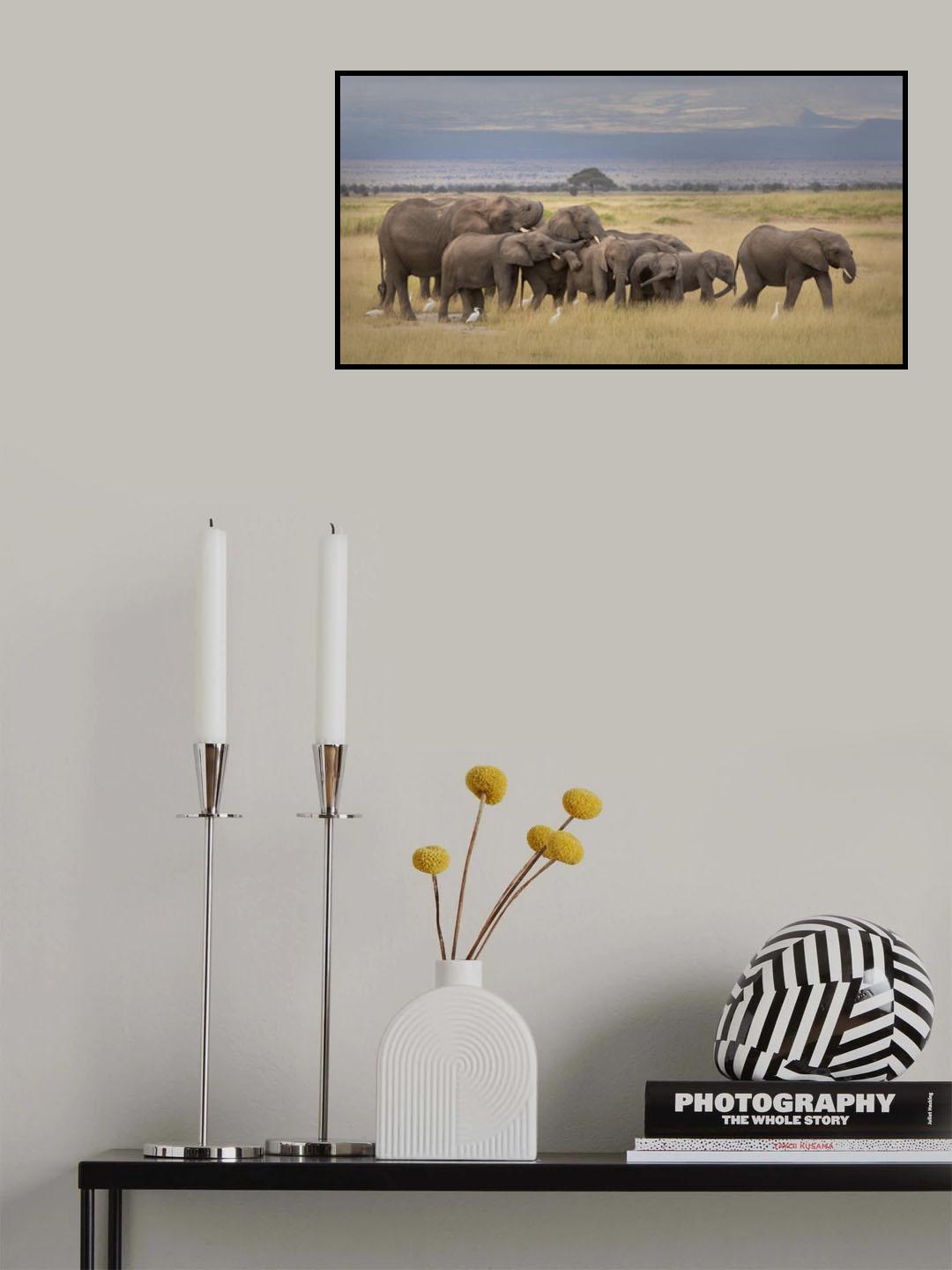 Happy Family Poster och Canvastavla