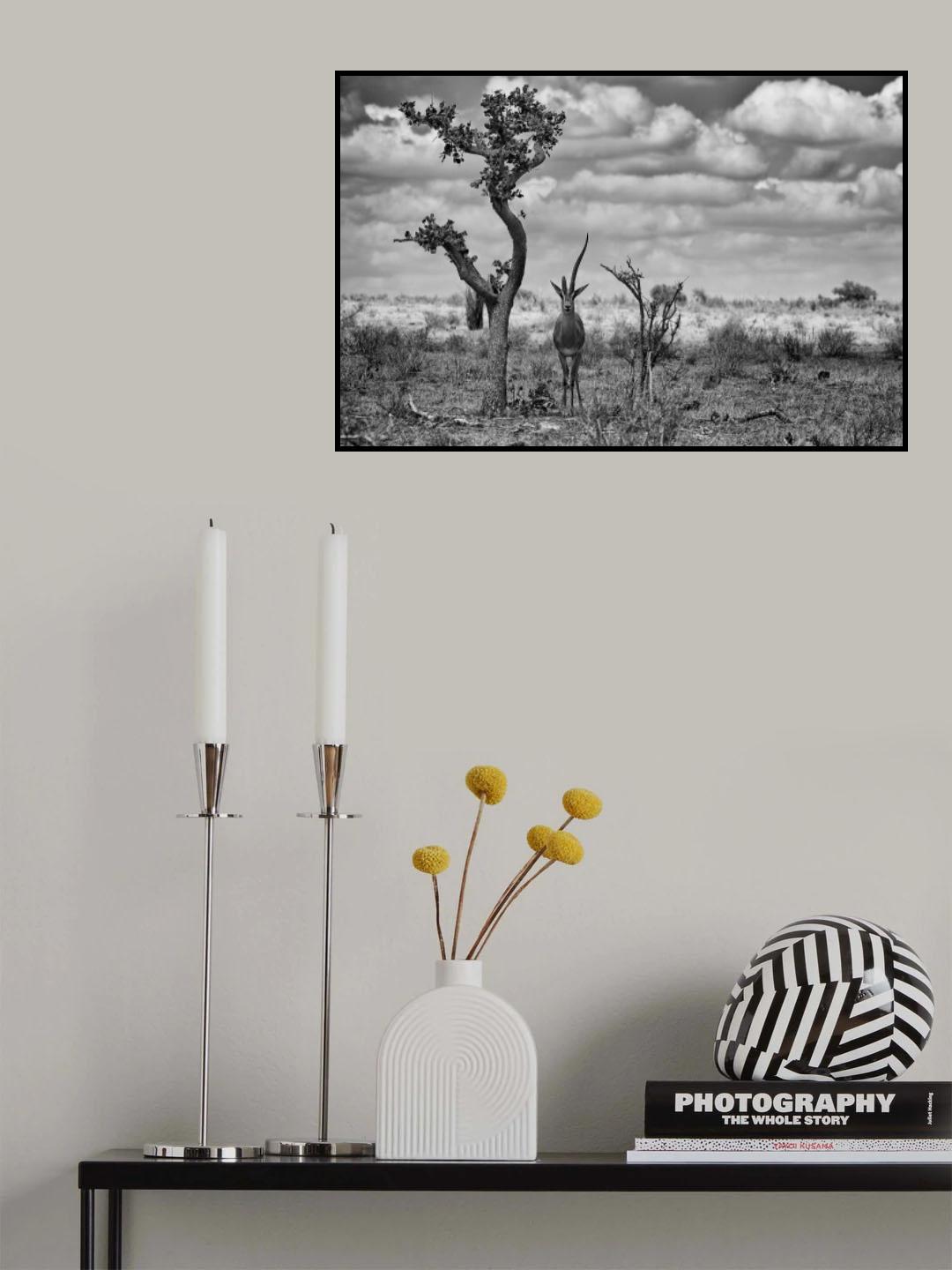 The last unicorn Poster och Canvastavla