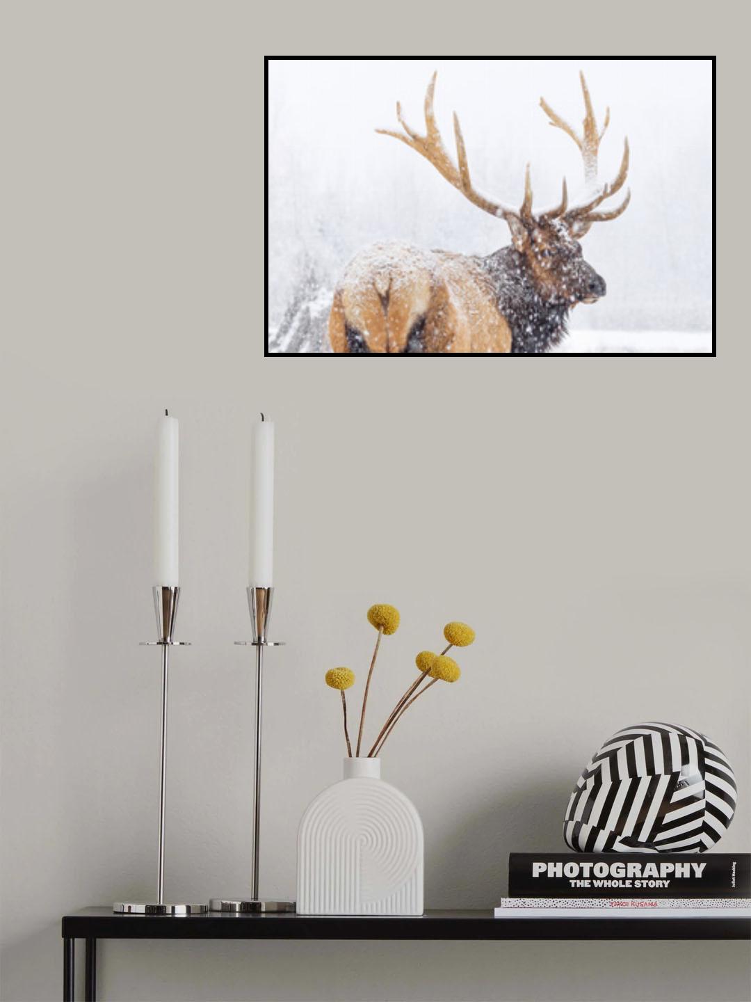 Winter Poster och Canvastavla