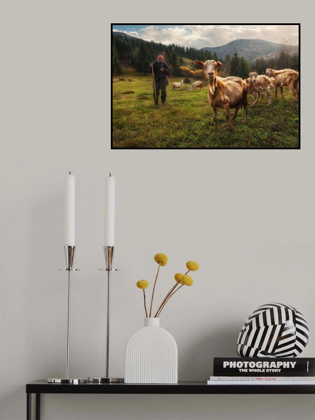 A Day in the Carpathian Mountains Poster och Canvastavla