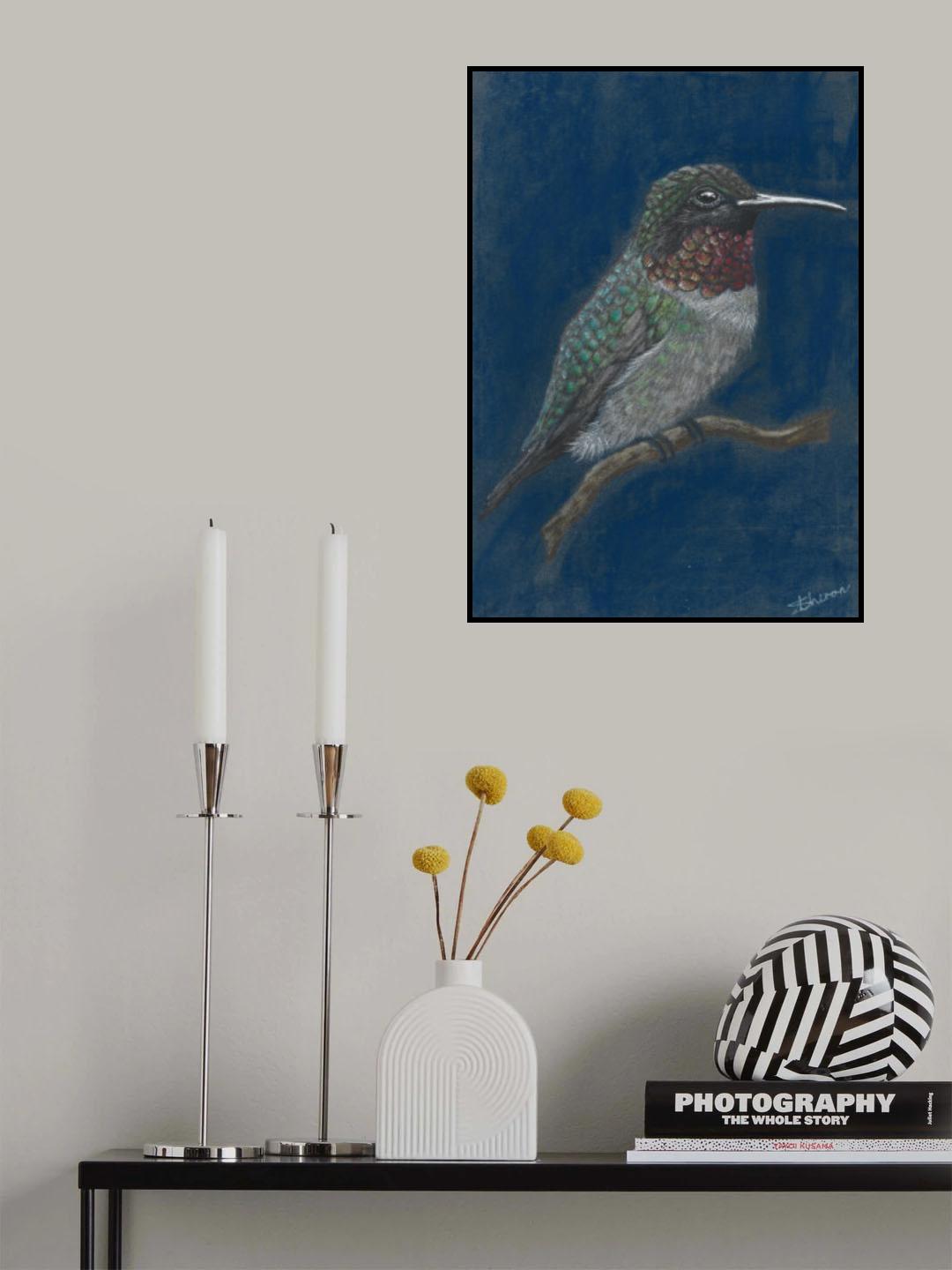 Hummingbird Poster och Canvastavla