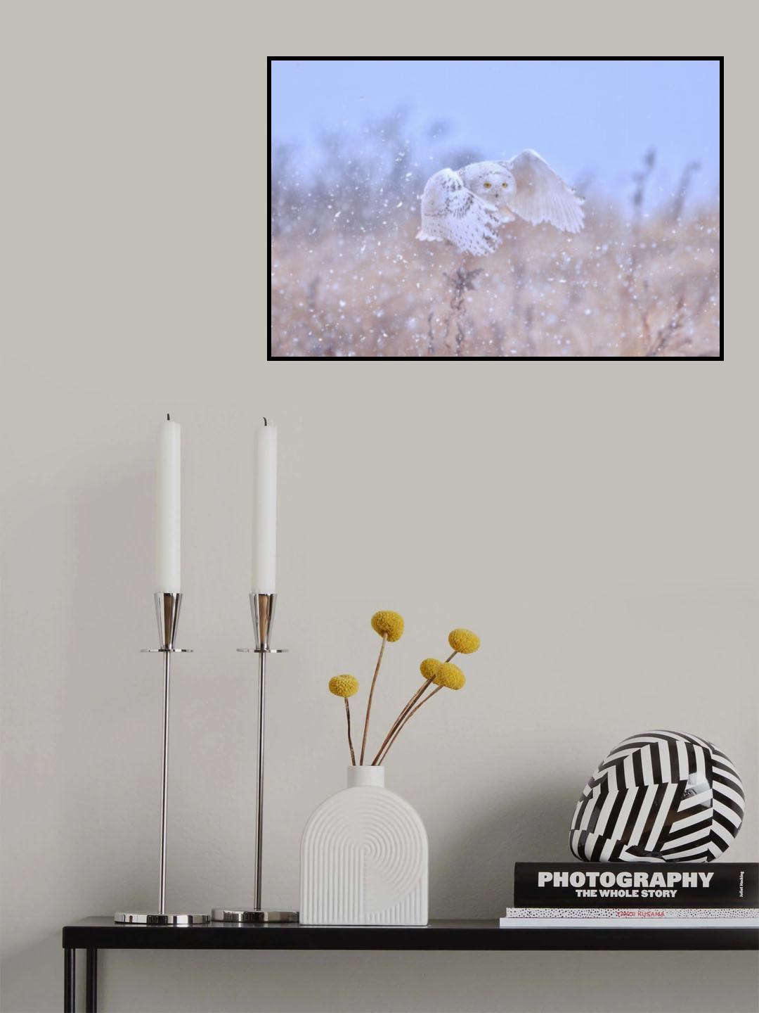 Snowy Owl on a Snowy day Poster och Canvastavla