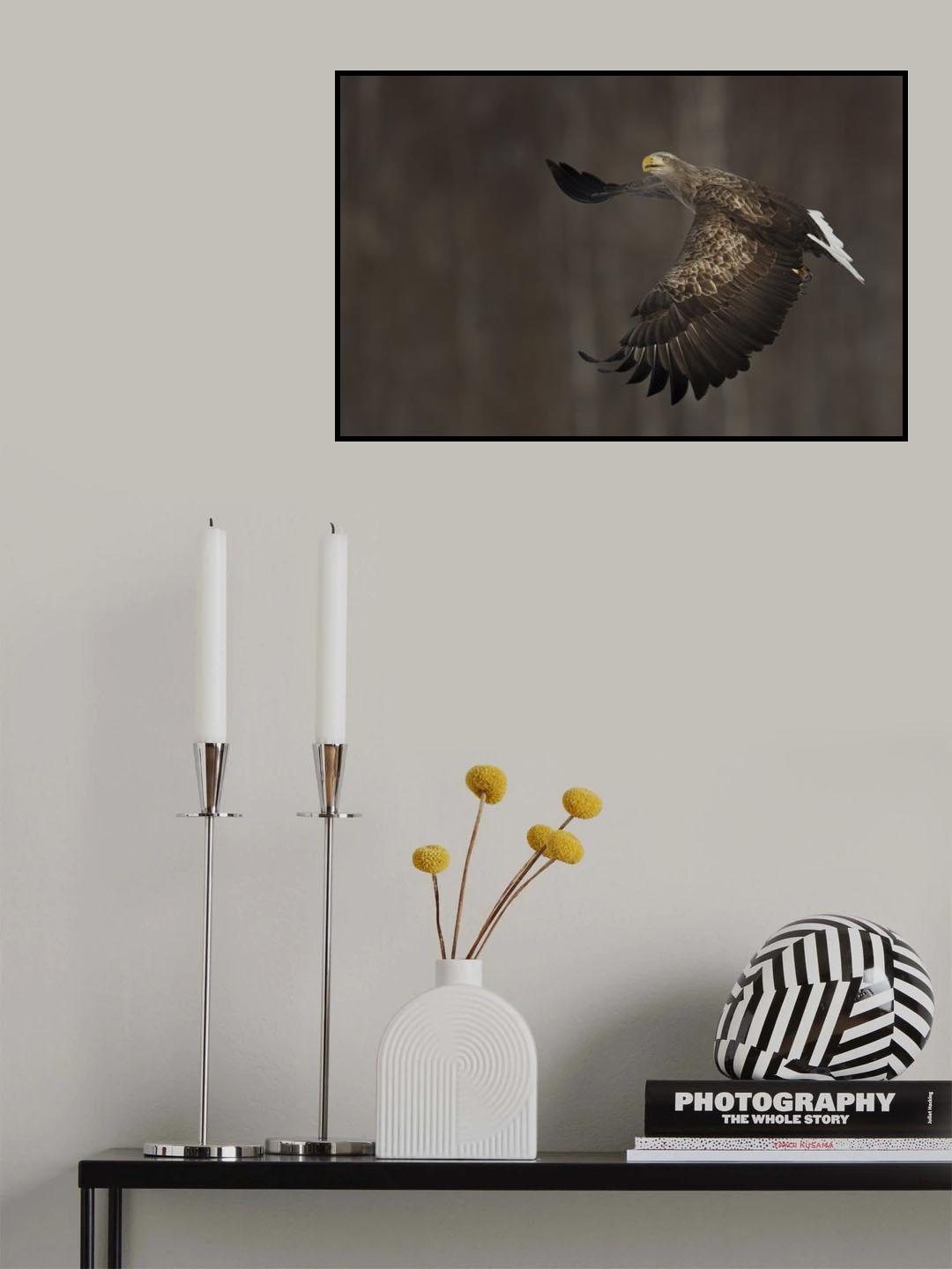 Fly Poster och Canvastavla