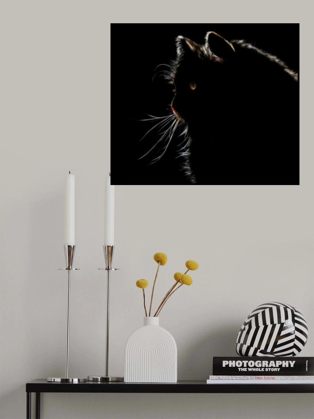 Poster och Canvastavla