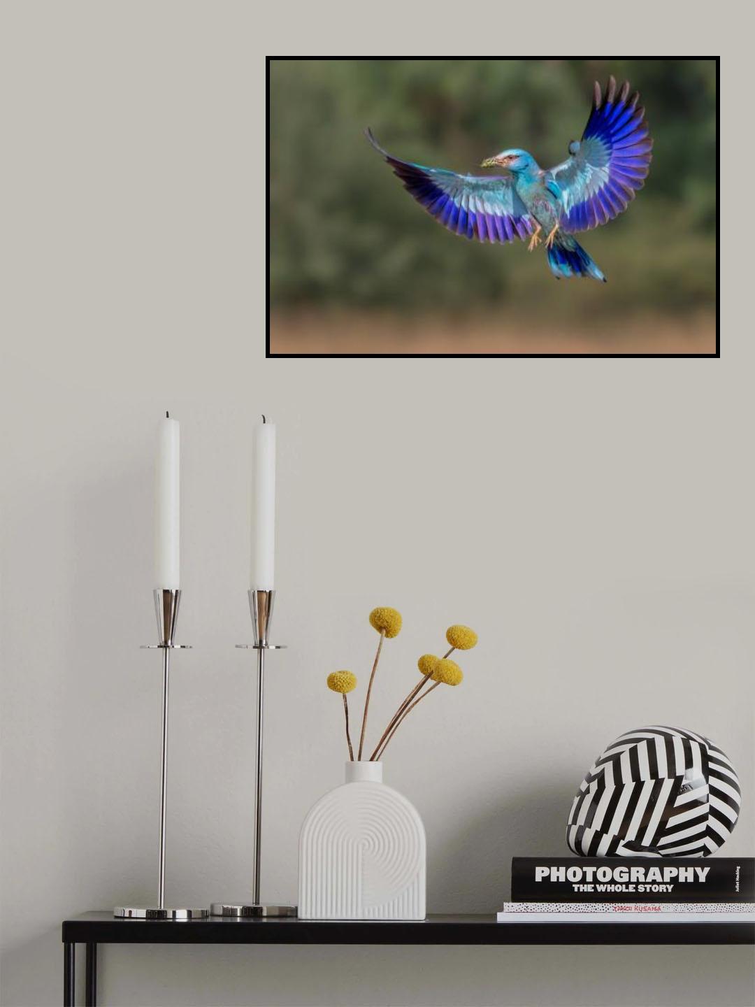 I am Home Poster och Canvastavla