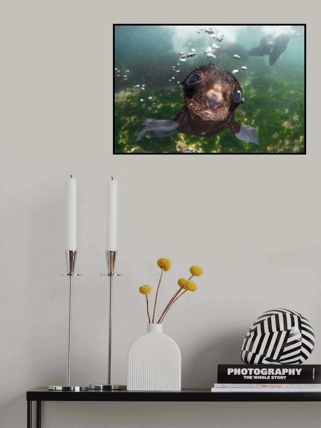 baby of the sea Poster och Canvastavla