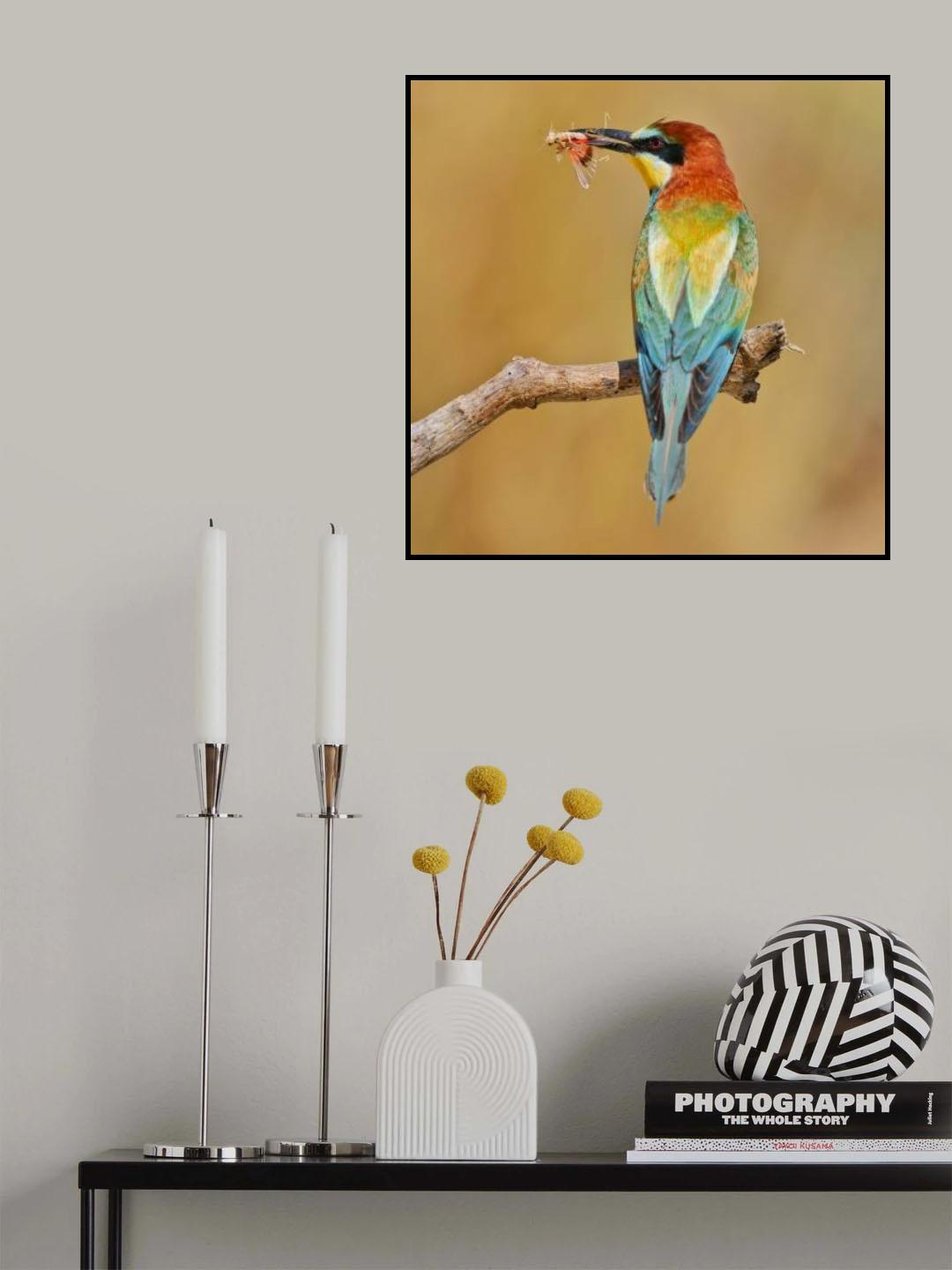 Bee-eater Poster och Canvastavla