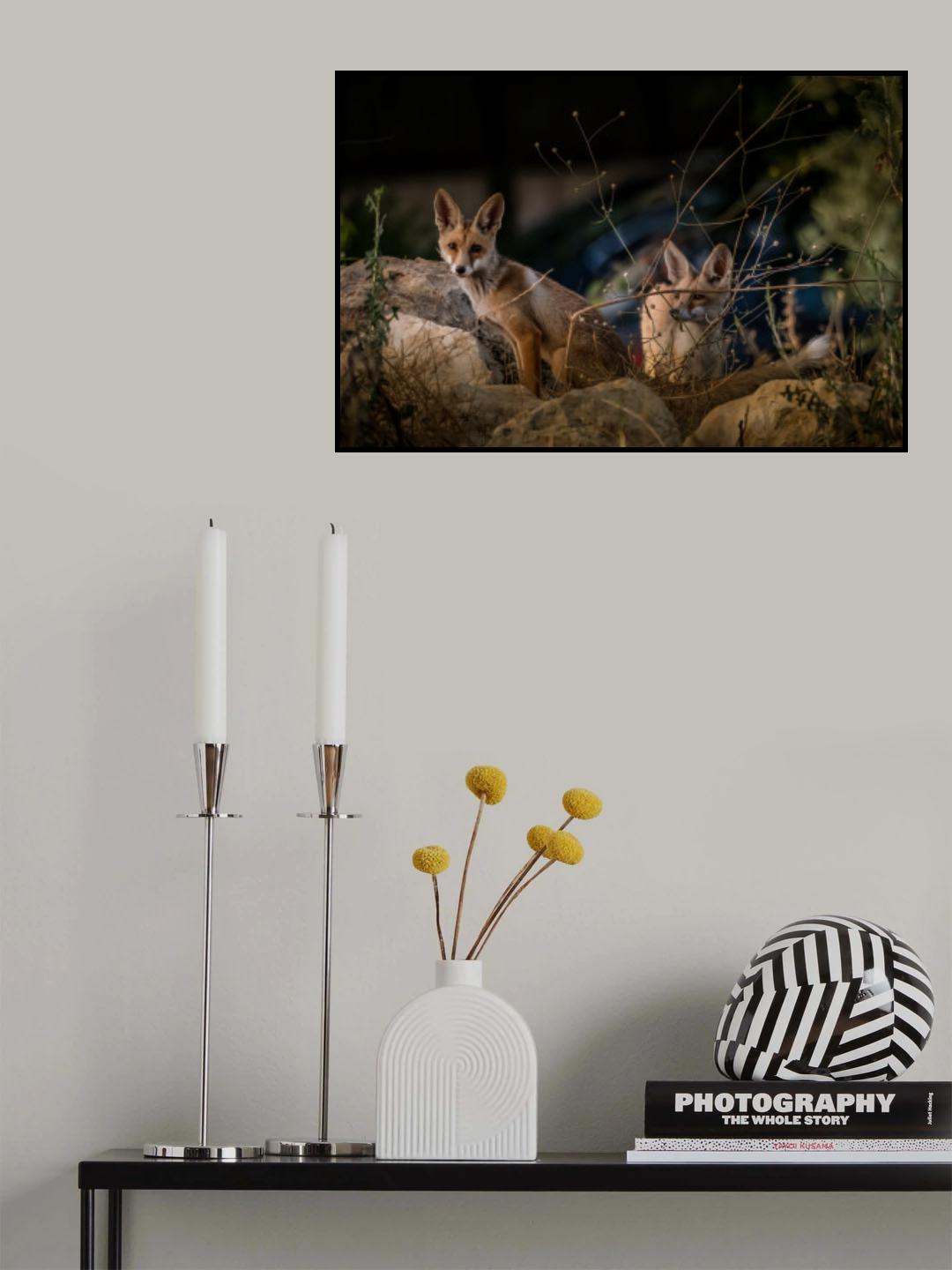 Young brothers Poster och Canvastavla