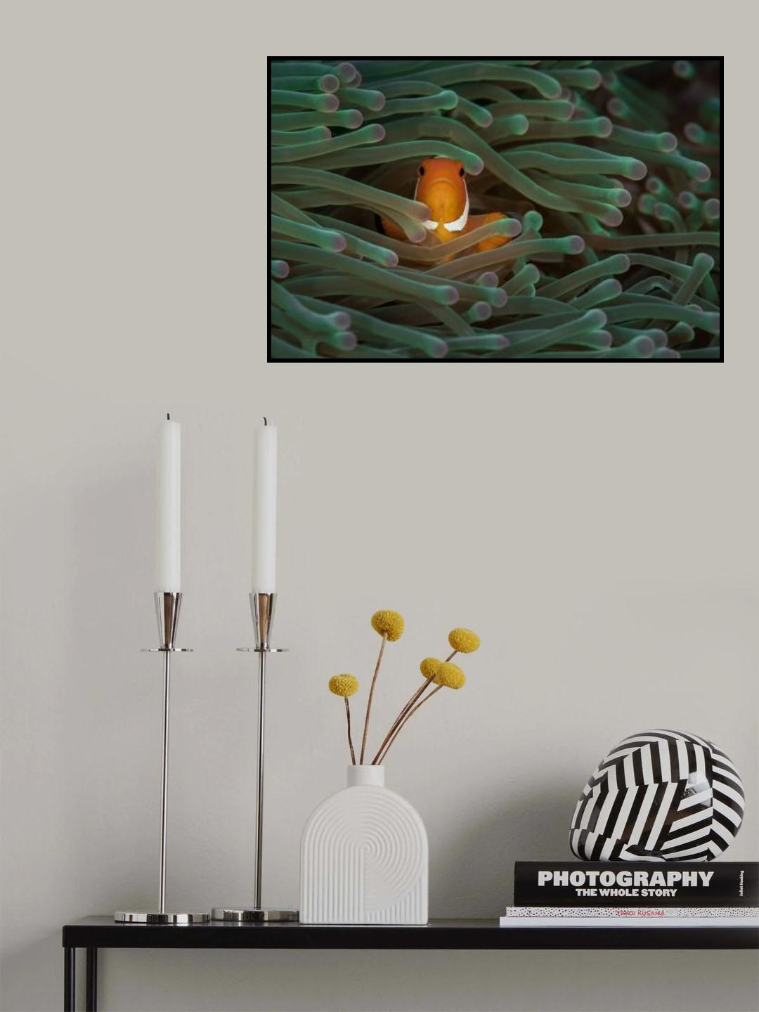Nemo Poster och Canvastavla