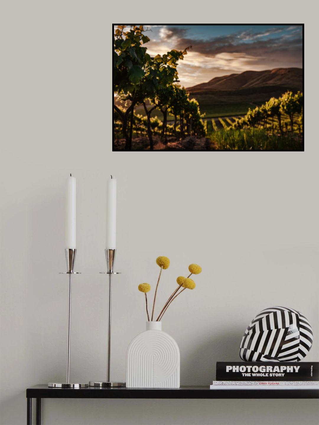 Vineyards Poster och Canvastavla