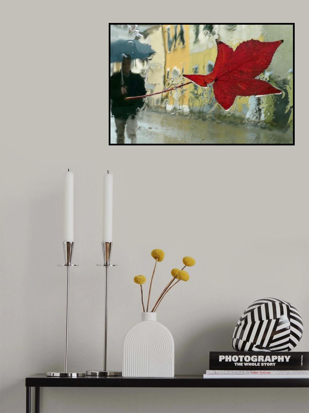 A leaf on the glass Poster och Canvastavla