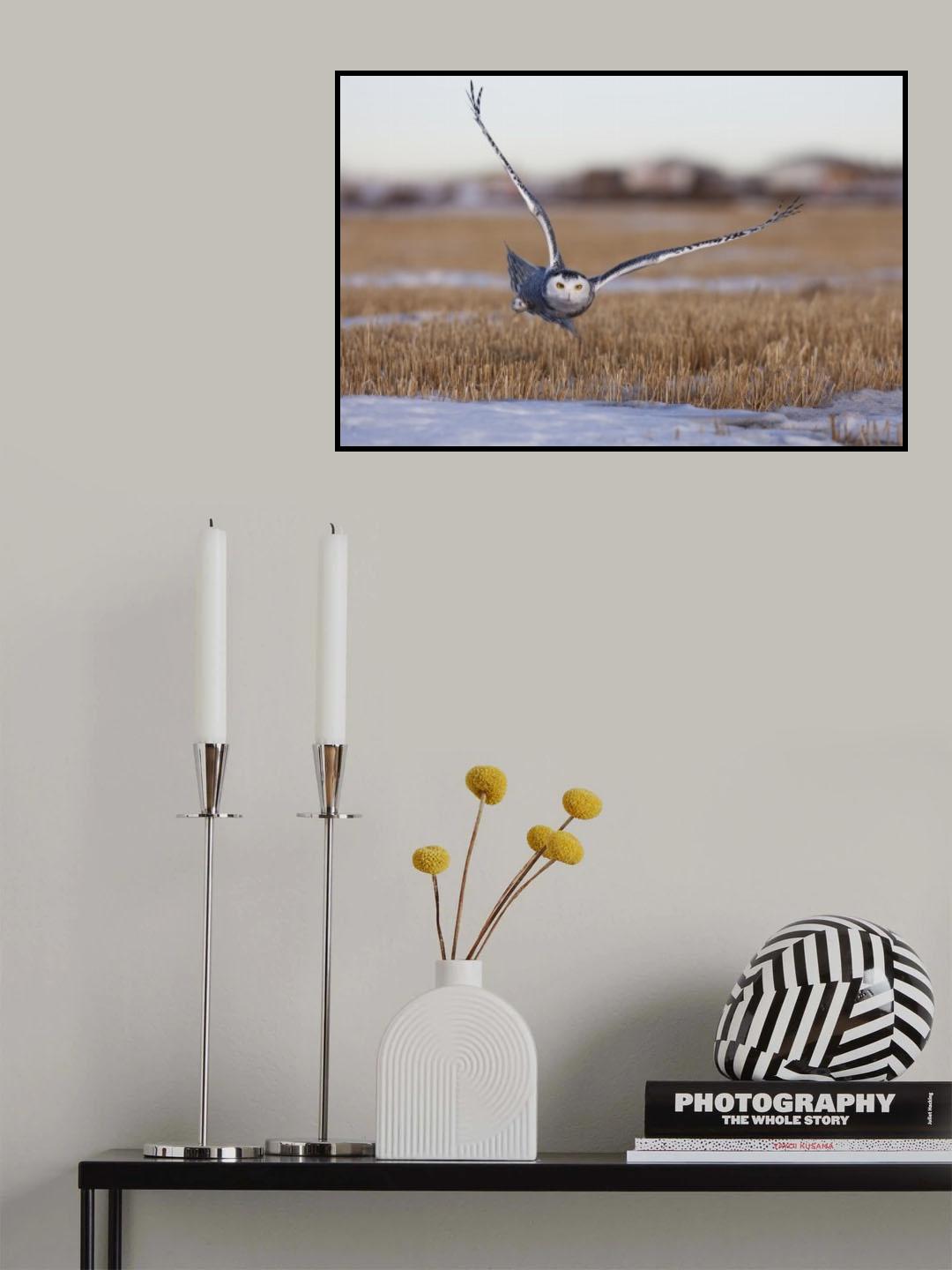 Silent Hunter Poster och Canvastavla
