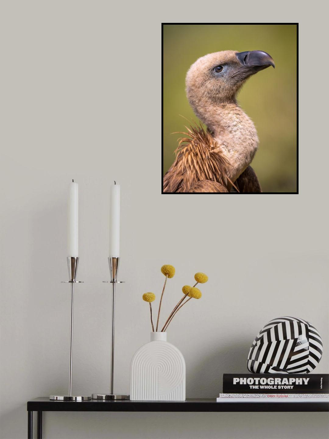G R I F F O N Poster och Canvastavla