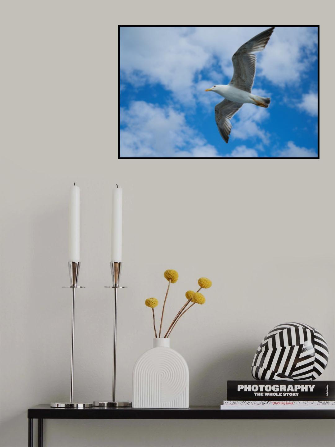 flying seagull Poster och Canvastavla