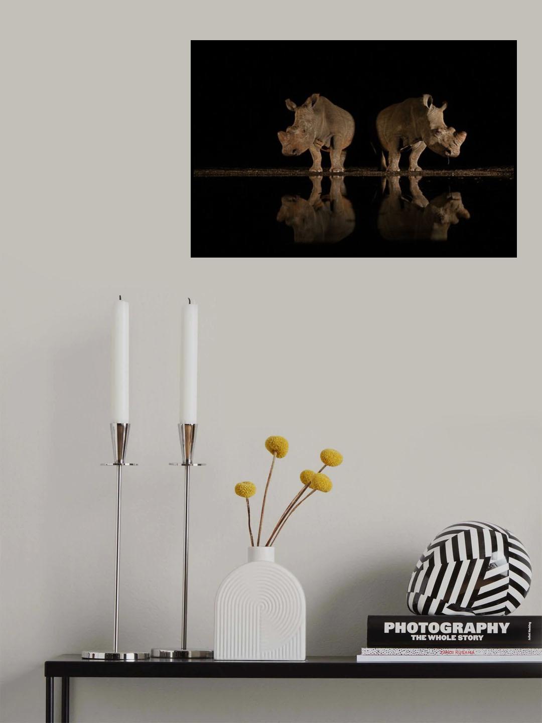 reflection Poster och Canvastavla
