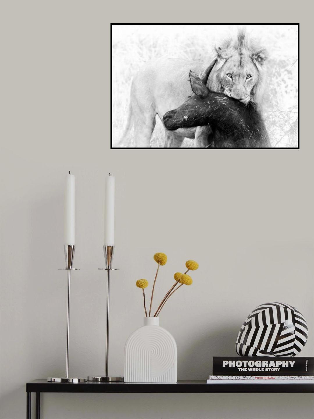 Poor Buffalo Poster och Canvastavla