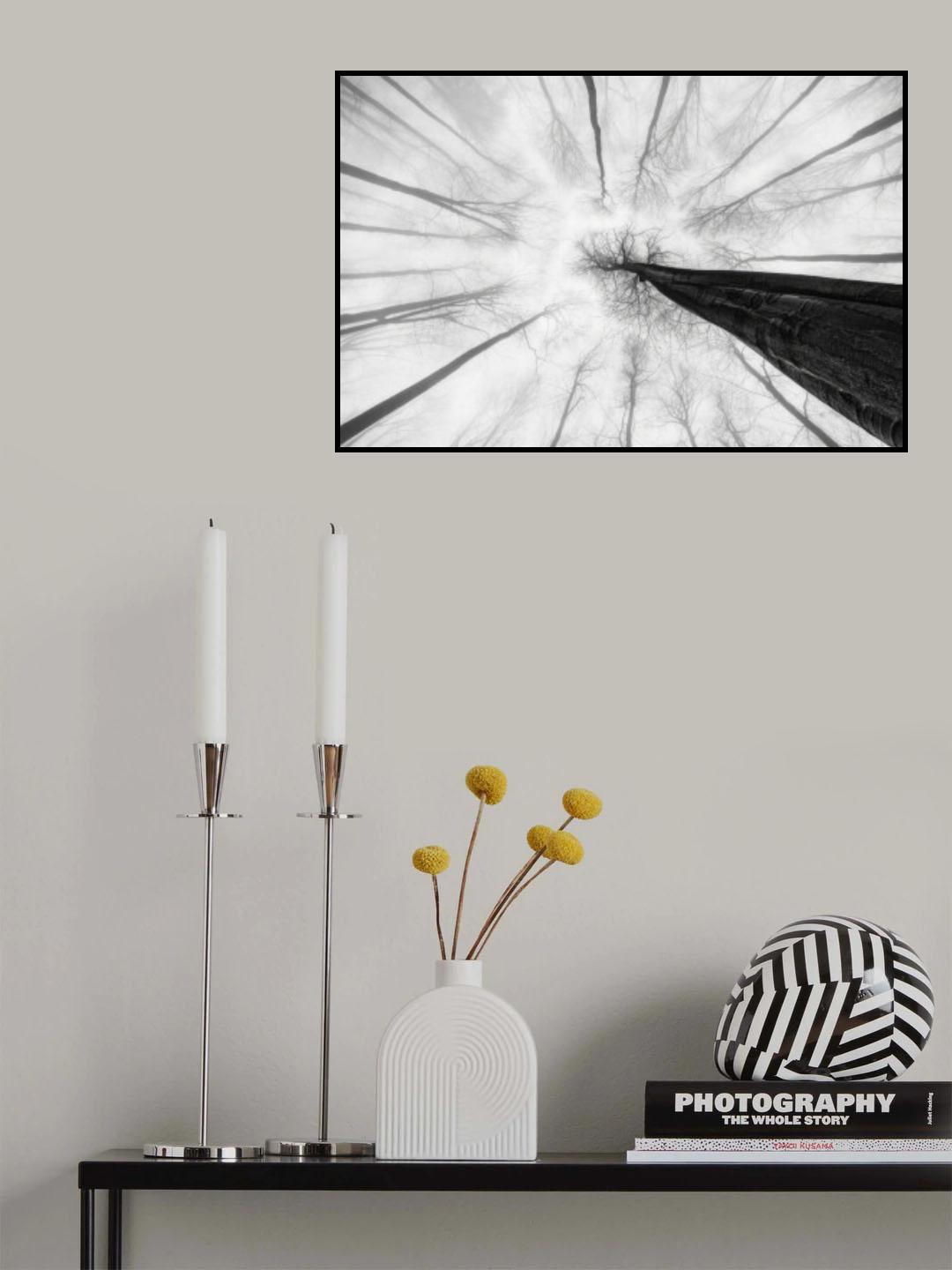 Tree trunk Poster och Canvastavla