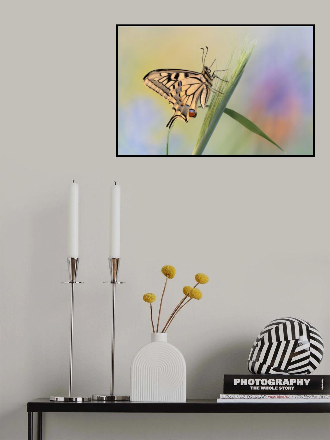On the ear Poster och Canvastavla
