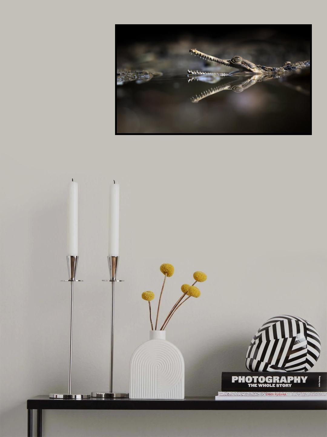 Exotic Reflection of Sinyulong Poster och Canvastavla