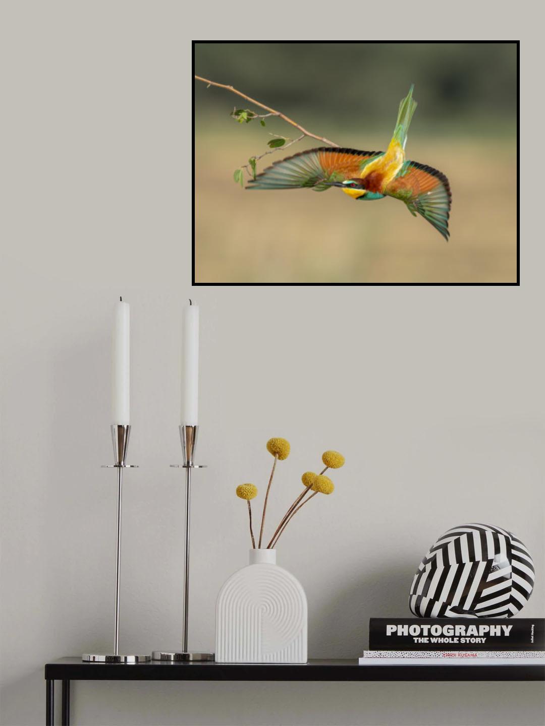 Shear beauty Poster och Canvastavla