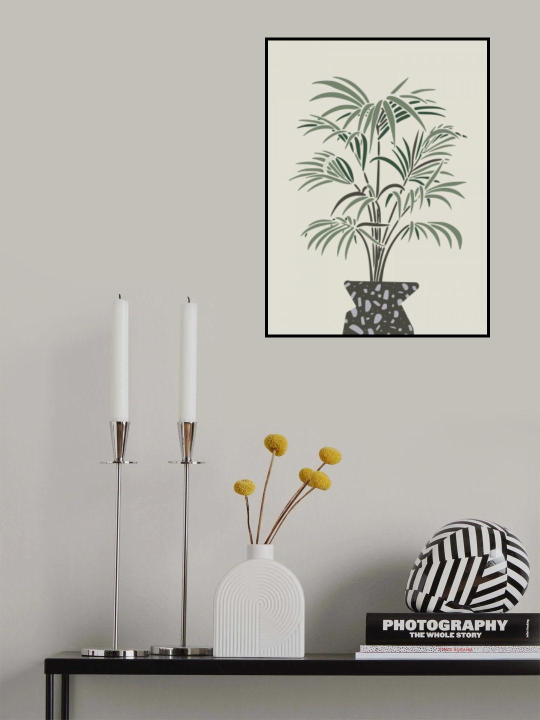Indoor Pot Palm Poster och Canvastavla